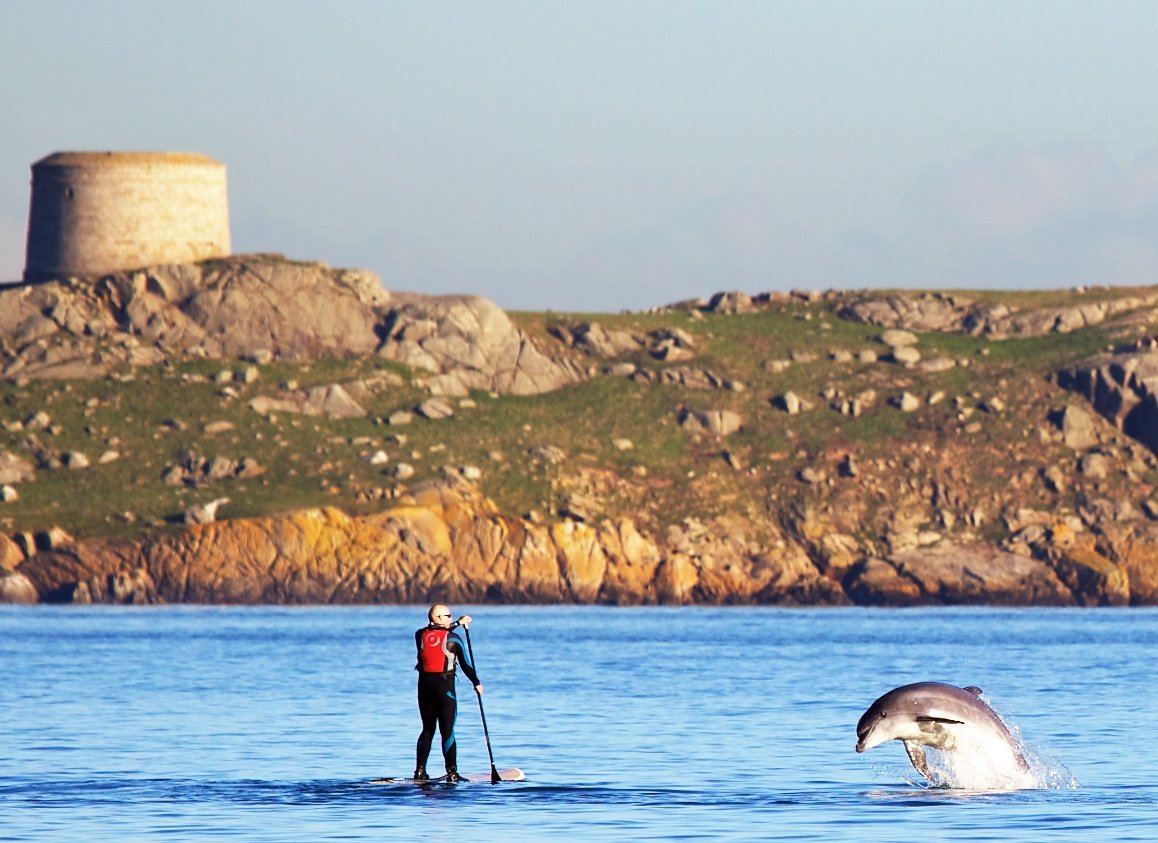With a bit of luck, you might even spot a dolphin near Dalkey Island.  (Ap Photo)
