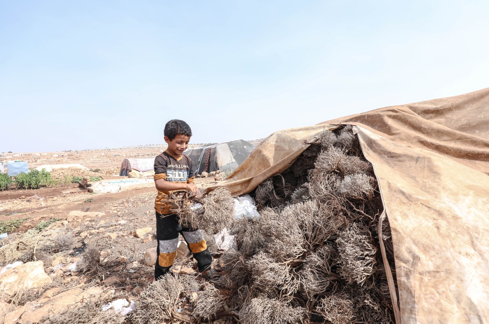 Pengungsi di kamp Idlib mengumpulkan plastik, pupuk kandang agar tetap hangat