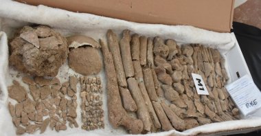 Bones collected from a 3,400-year-old grave that is thought to belong to the Mycenaean civilization are displayed, Izmir, Türkiye, Oct. 30, 2022. (DHA Photo)