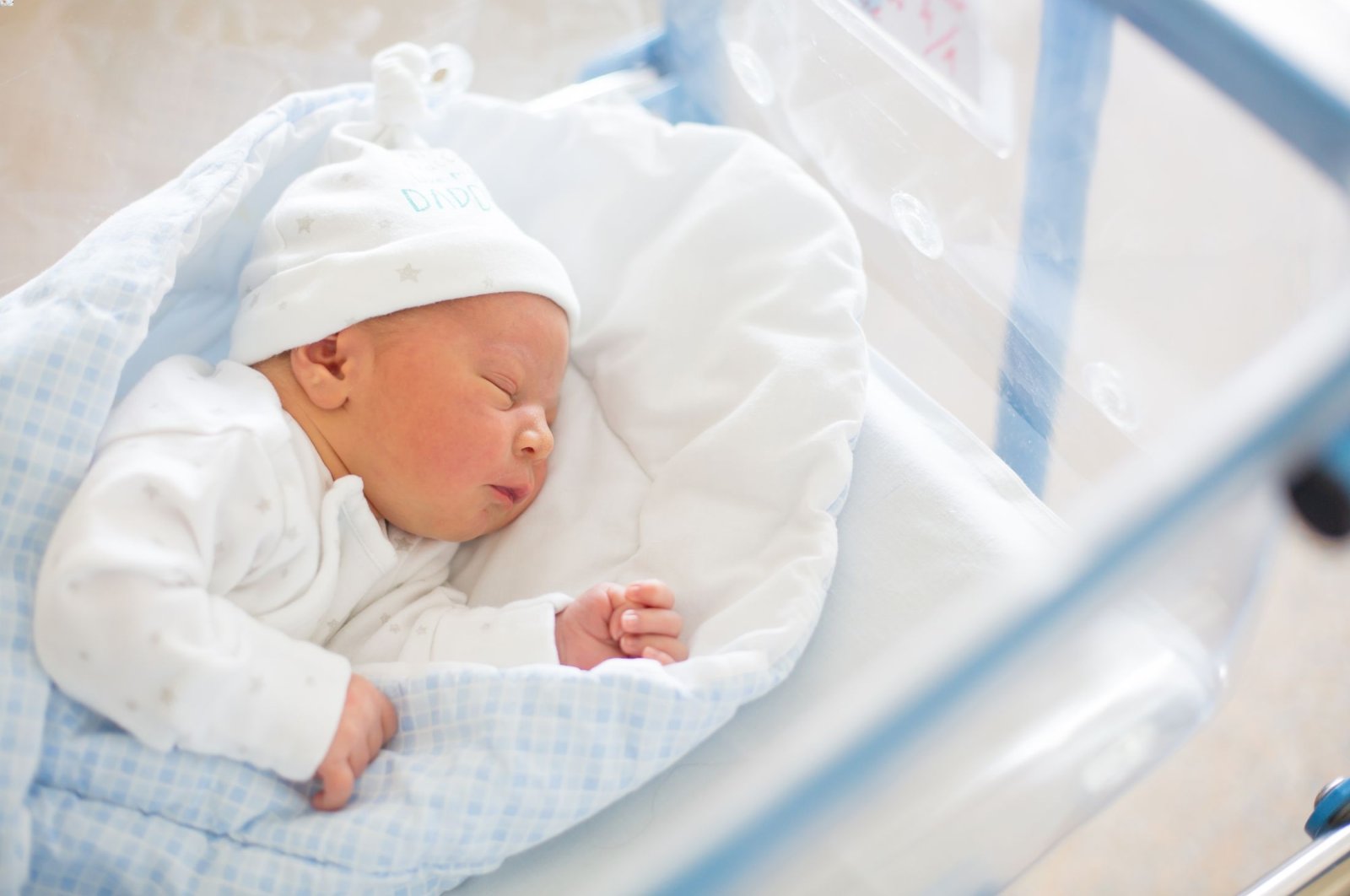 Wewangian bayi memastikan kelanjutan ras manusia