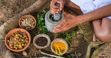 Foremost leaders and experts in Ayurvedic medicine, a holistic healing system that has been prevalent in India, are set to gather in Türkiye. (Shutterstock Photo)