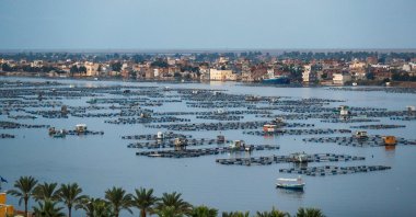 A view of a floating fish farm near the city of Rosetta on the Rosetta branch of the Nile river delta, northeast of Alexandria, Egypt, Oct. 24, 2019. (AFP Photo)