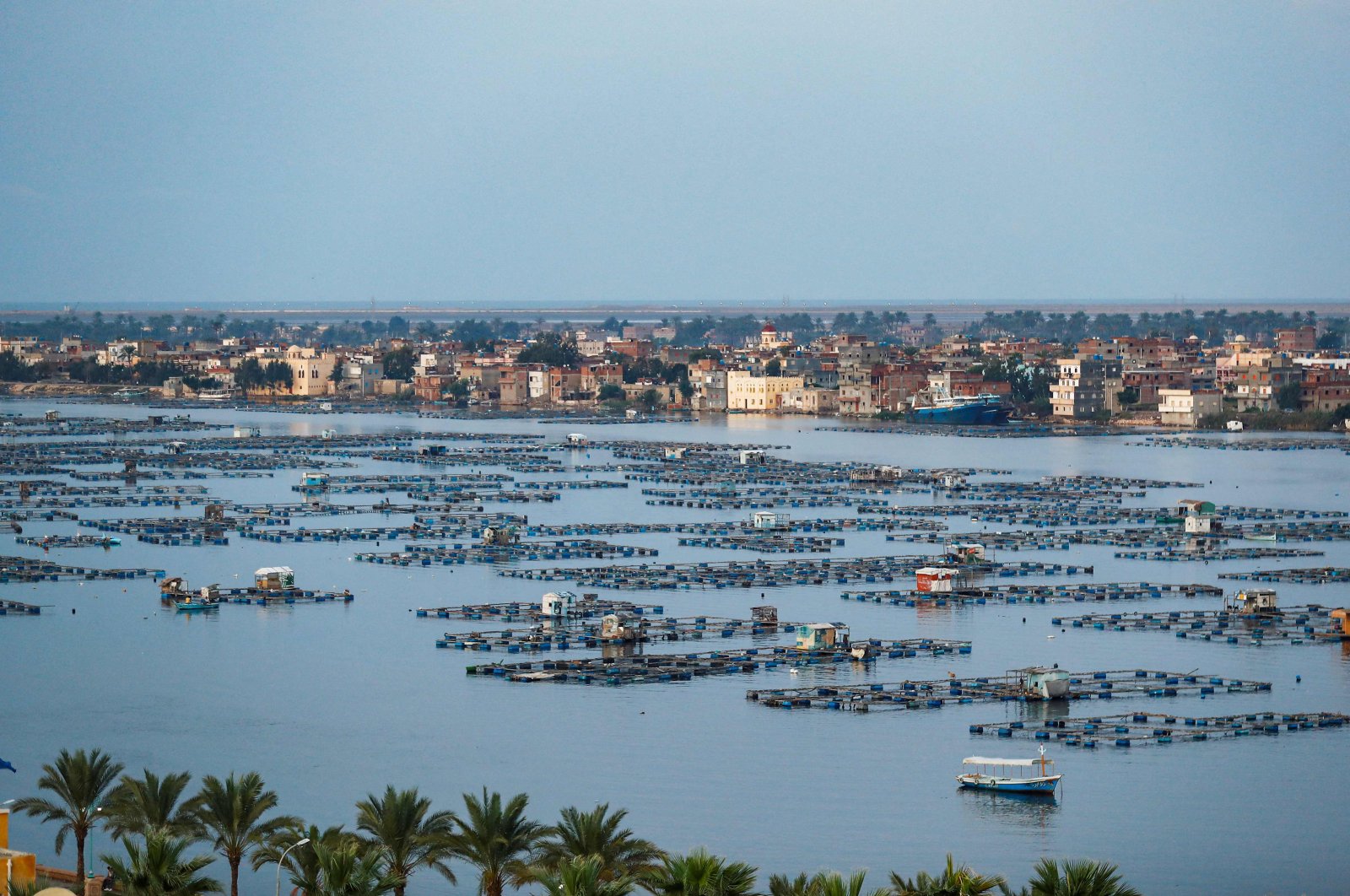 A view of a floating fish farm near the city of Rosetta on the Rosetta branch of the Nile river delta, northeast of Alexandria, Egypt, Oct. 24, 2019. (AFP Photo)