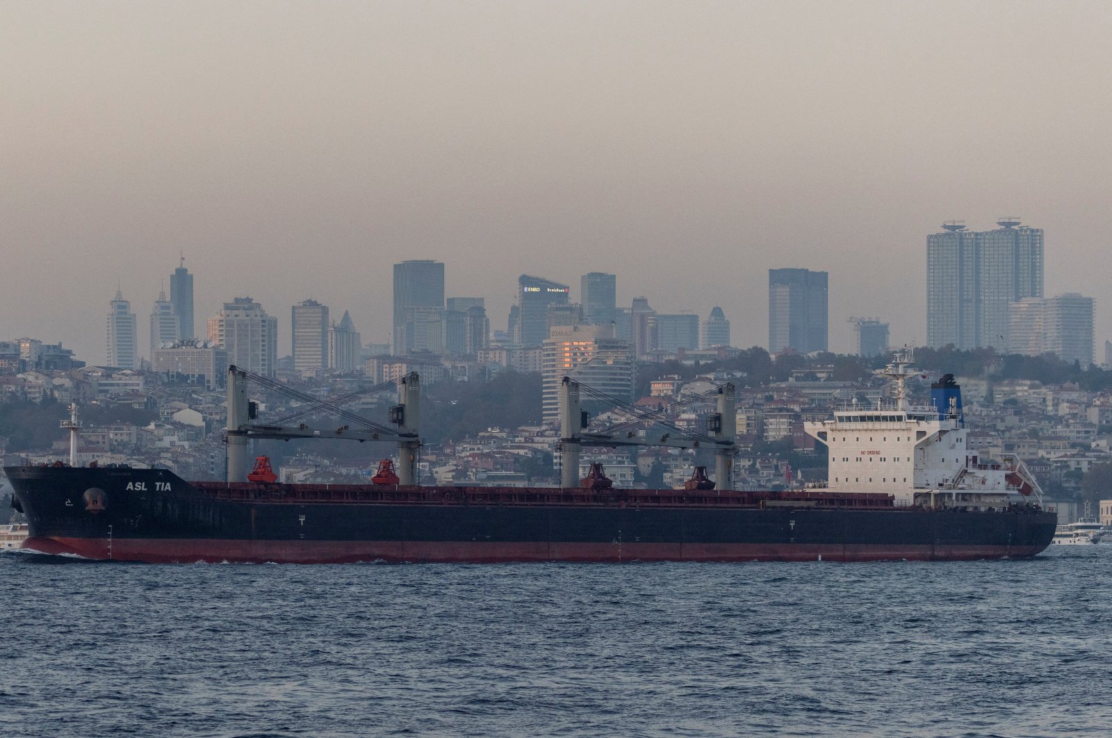 Asl Tia, a cargo vessel carrying Ukrainian grain, transits Bosporus, in Istanbul, Türkiye, Nov. 2, 2022. (Reuters Photo)