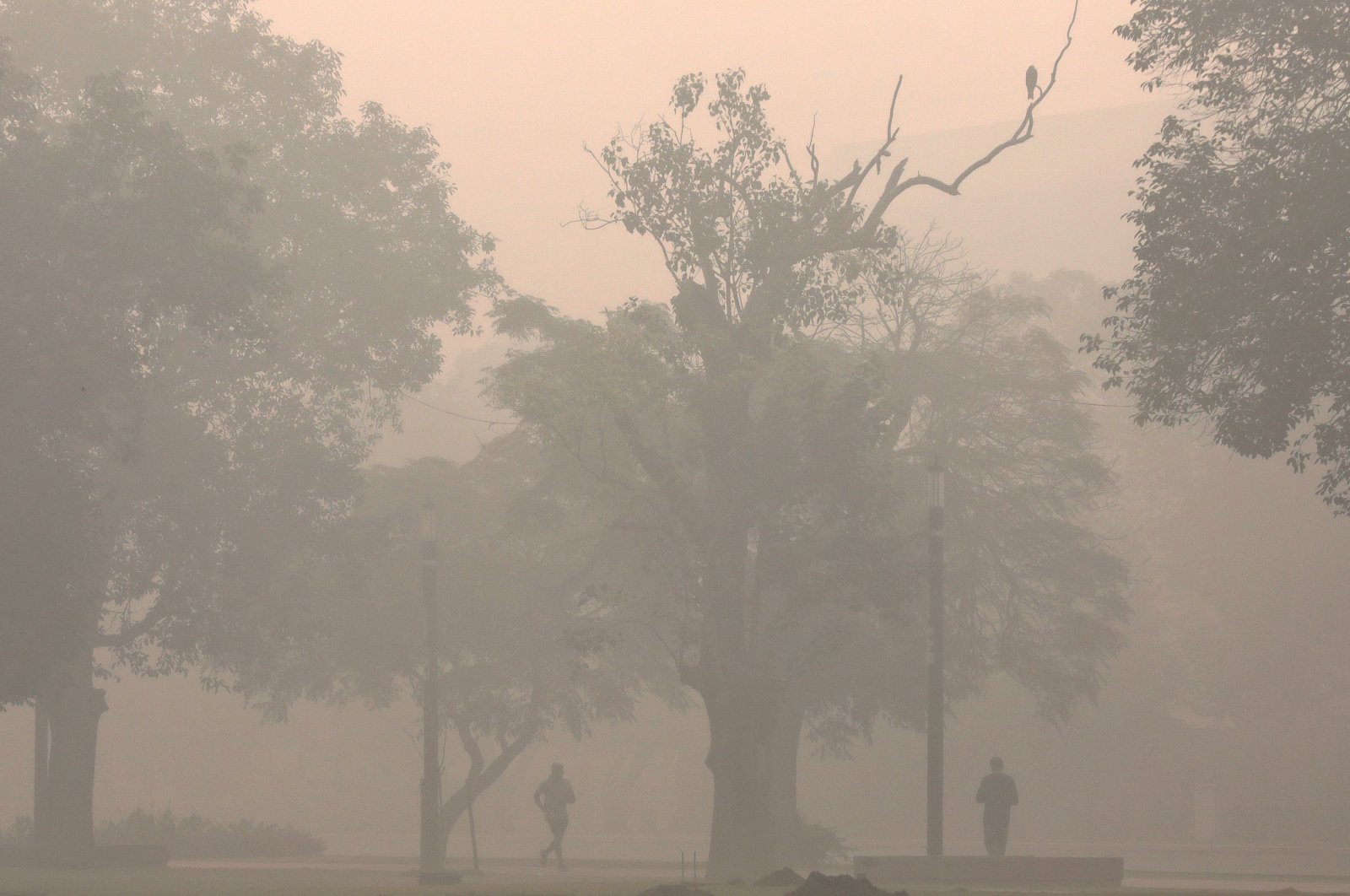 People exercise as a thick smog engulfs New Delhi, India, Nov. 3, 2022. (EPA Photo)