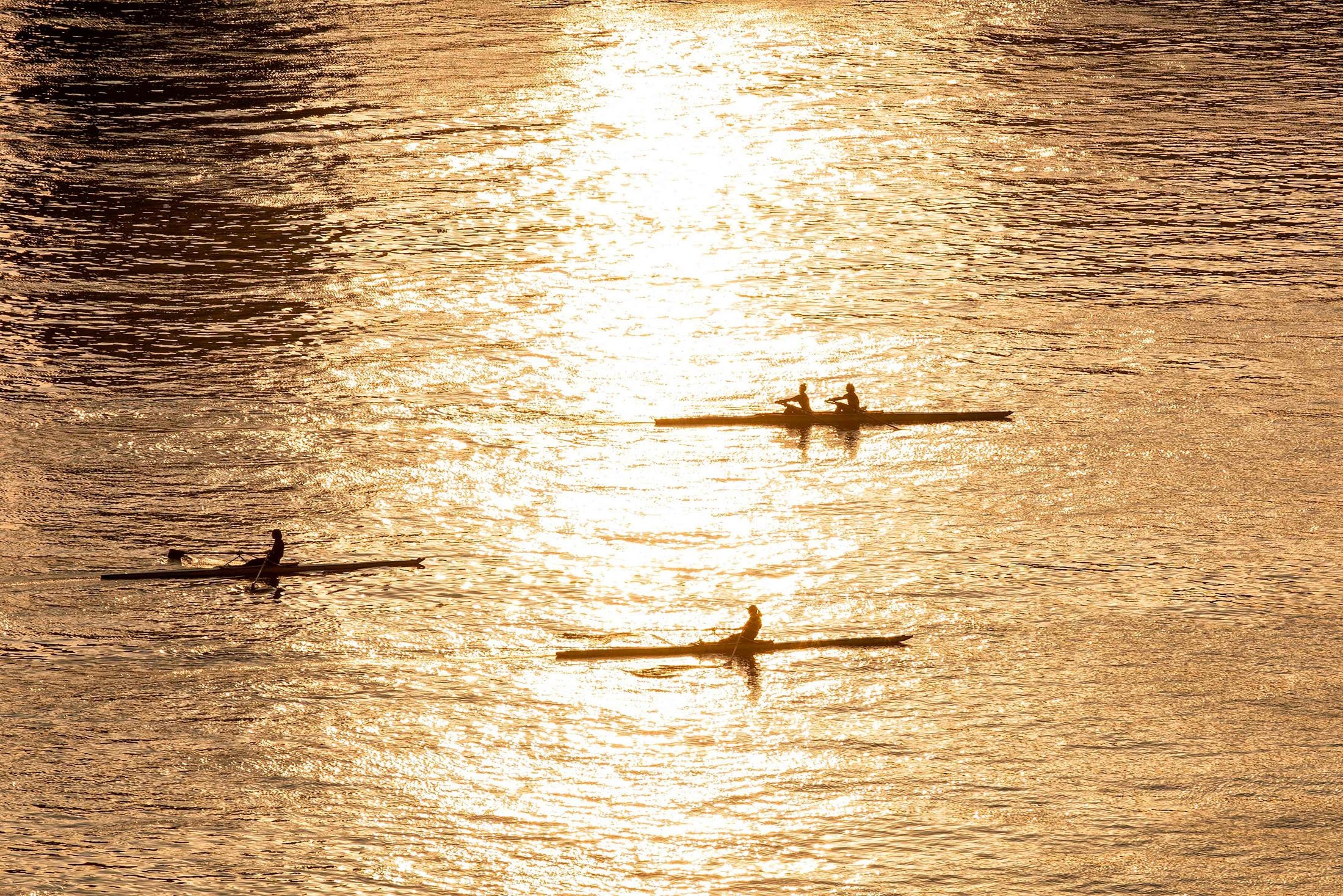 Athletes row skiffs in the Nile river in the center of the capital Cairo, Egypt, Nov. 3, 2022. (AFP Photo)