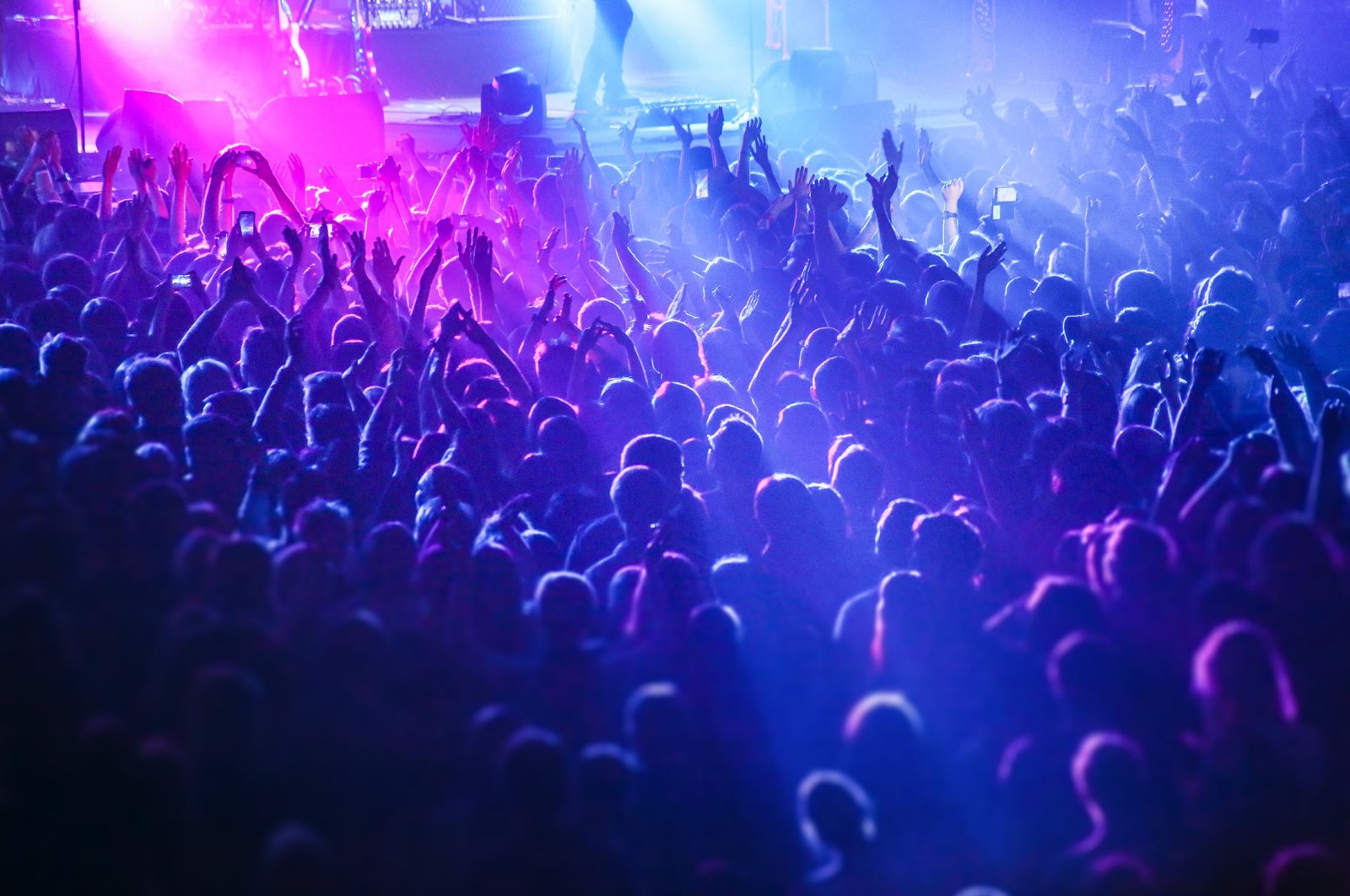 As the DJ turns up the bass, the crowd goes wild, and that might be an unconscious reaction. (Shutterstock Photo)