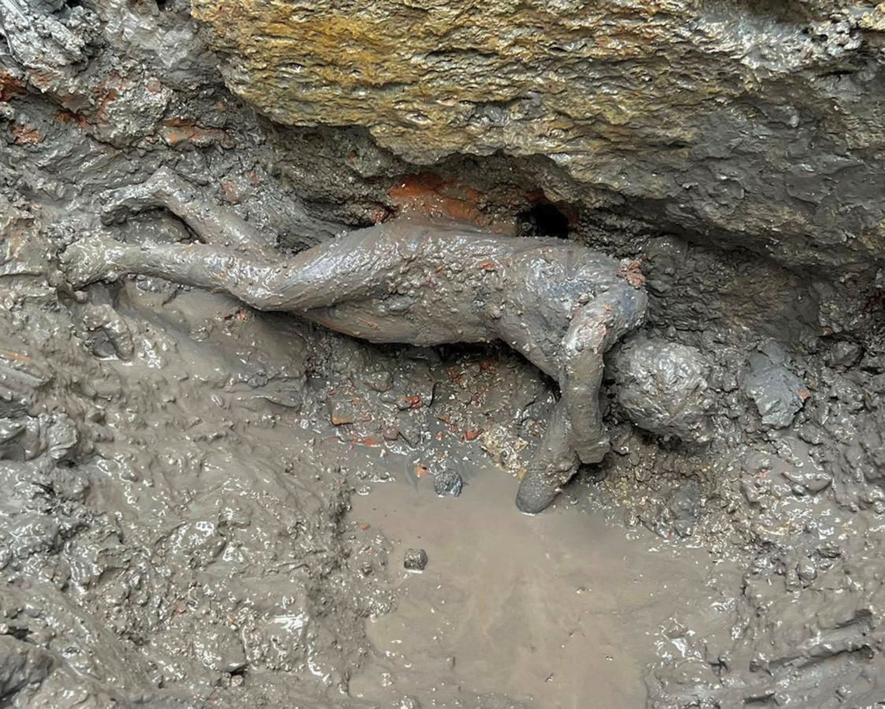 Selebaran foto oleh Kementerian Kebudayaan Italia ini menunjukkan sebuah patung di mana lebih dari 20 patung perunggu ditemukan di lumpur mata air panas di tempat kudus San Casciano dei Bagni, Tuscany, Italia, 8 November 2022. (AFP Photo)