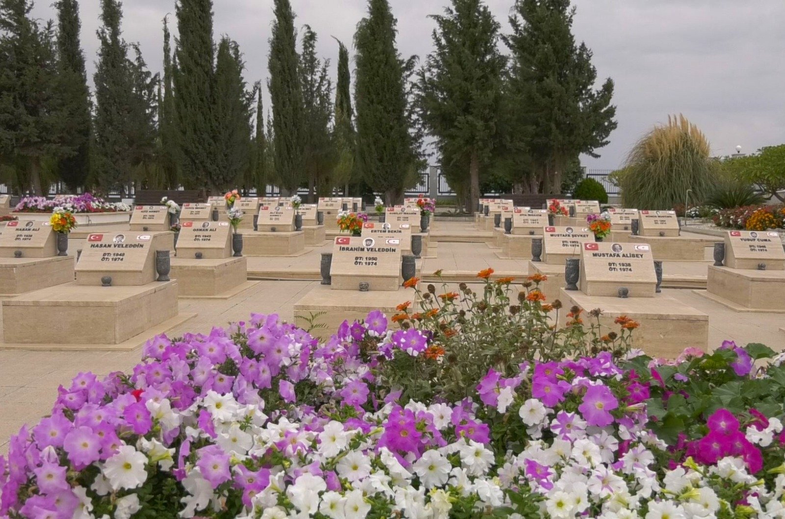 The Tashkent cemetery, where the graveyards of Turkish Cypriots killed in terrorist attacks organized by EOKA leader Grivas are located in, TRNC. (AA Photo)
