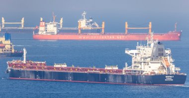 The cargo ship Despina V, carrying Ukrainian grain, is seen in the Black Sea off Kilyos near Istanbul, Türkiye, Nov. 2, 2022. (Reuters Photo)