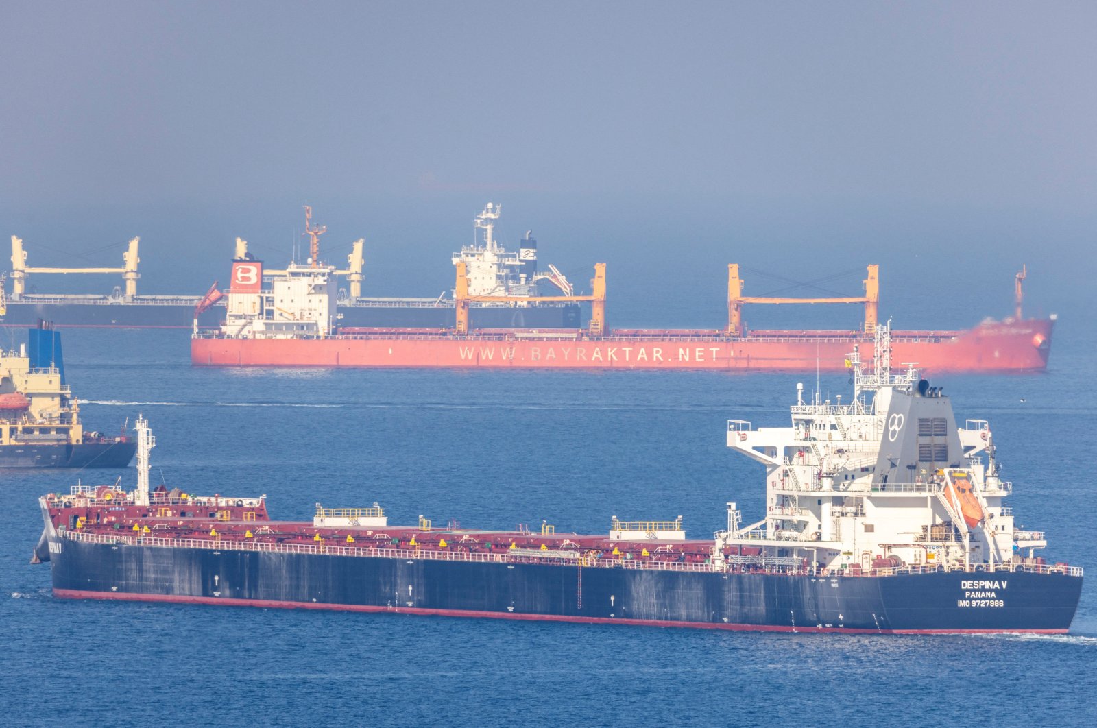 The cargo ship Despina V, carrying Ukrainian grain, is seen in the Black Sea off Kilyos near Istanbul, Türkiye, Nov. 2, 2022. (Reuters Photo)