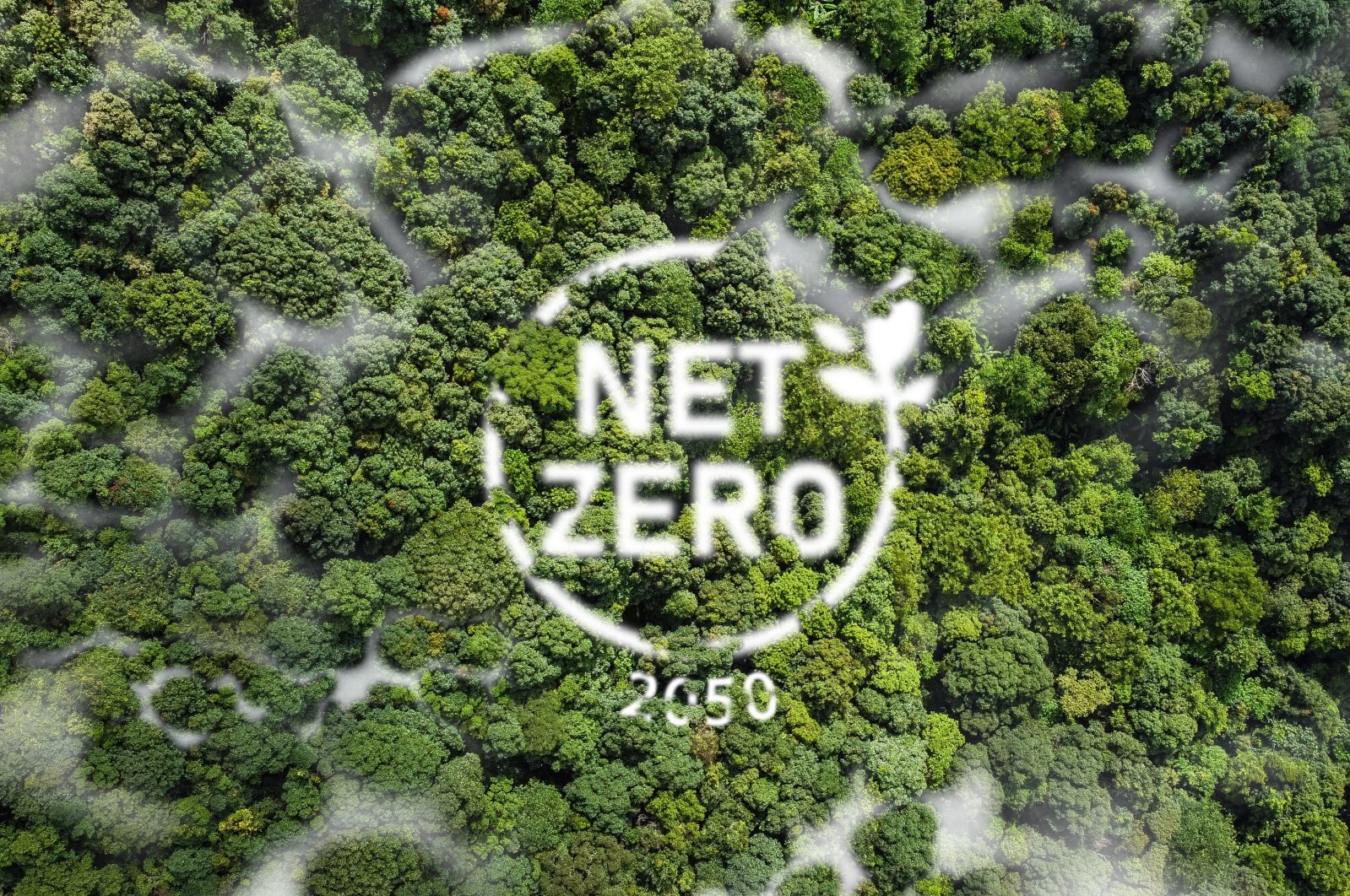 After the EU led the way by proposing a European Green Deal in 2019, the pledge to become carbon-neutral with zero net emissions of greenhouse gases by 2050 became the new target of more than 136 countries. (Shutterstock Illustration)
