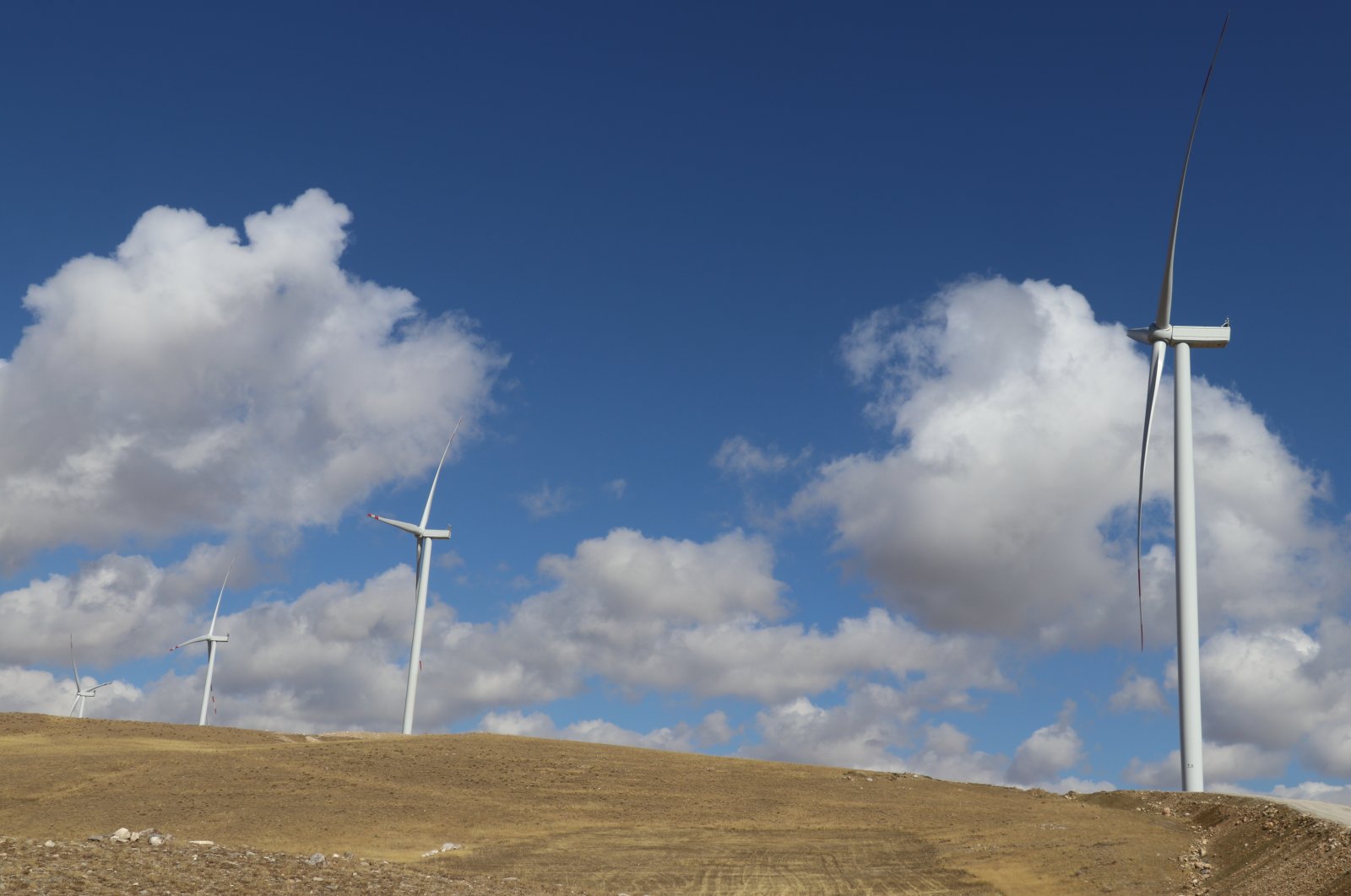 Wind turbines, as an alternative to fossil fuels, can help combat climate change. (AA File Photo)