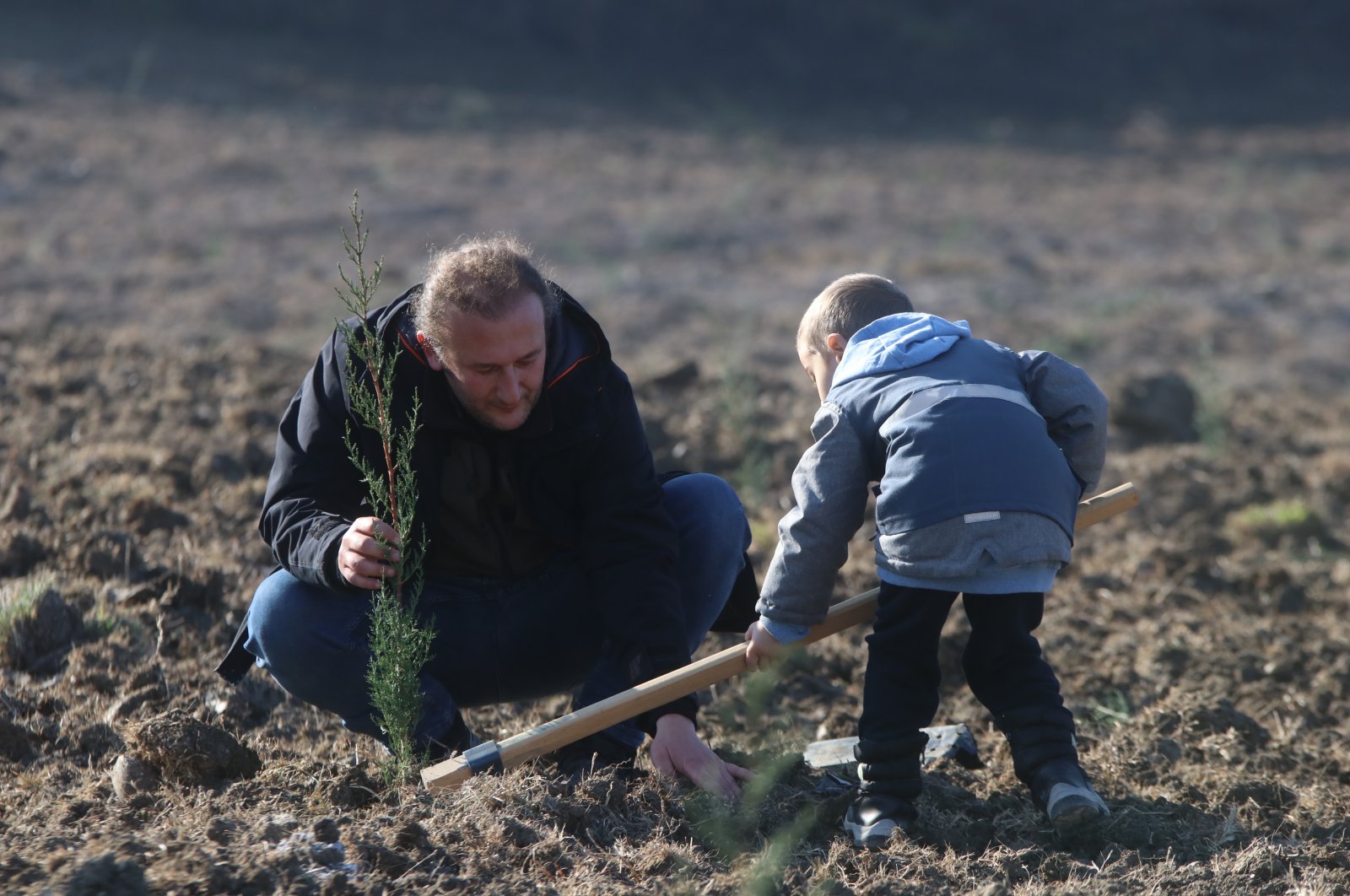 A man and a boy plant a sapling on the occasion of National Forestation Day, in Yalova, northwestern Türkiye, Nov. 11, 2022. (AA Photo) 