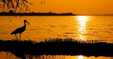 Türkiye&#039;s first and only Stork Village is in Eskikarağaç, a wonderful village on coast of Lake Uluabat, in Bursa, Türkiye. (Shutterstock Photo)