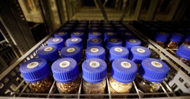 Seeds are stored at the Israel Plant Gene Bank at the Volcani Institute in Rishon Lezion, Israel, Nov. 3, 2022. (Reuters Photo)