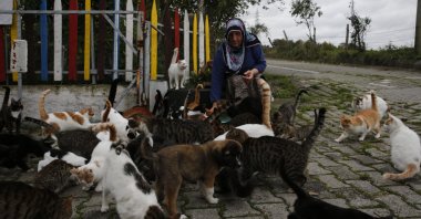 Ayşe Yalçınkaya feeds cats in her garden, in Samsun, Türkiye, Nov. 15, 2022. (AA Photo)