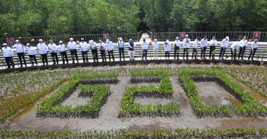 Leaders of the G-20 and international organizations lift their hoes after planting mangroves at the G-20 Summit, Bali, Indonesia, Nov. 16, 2022. (Reuters Photo)