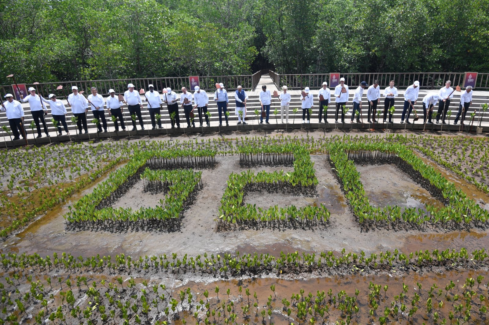 Leaders of the G-20 and international organizations lift their hoes after planting mangroves at the G-20 Summit, Bali, Indonesia, Nov. 16, 2022. (Reuters Photo)