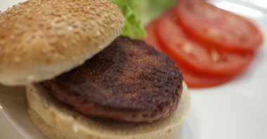 The world's first lab-grown beef burger at an event in London, U.K., Aug. 5, 2013. (Reuters Photo)