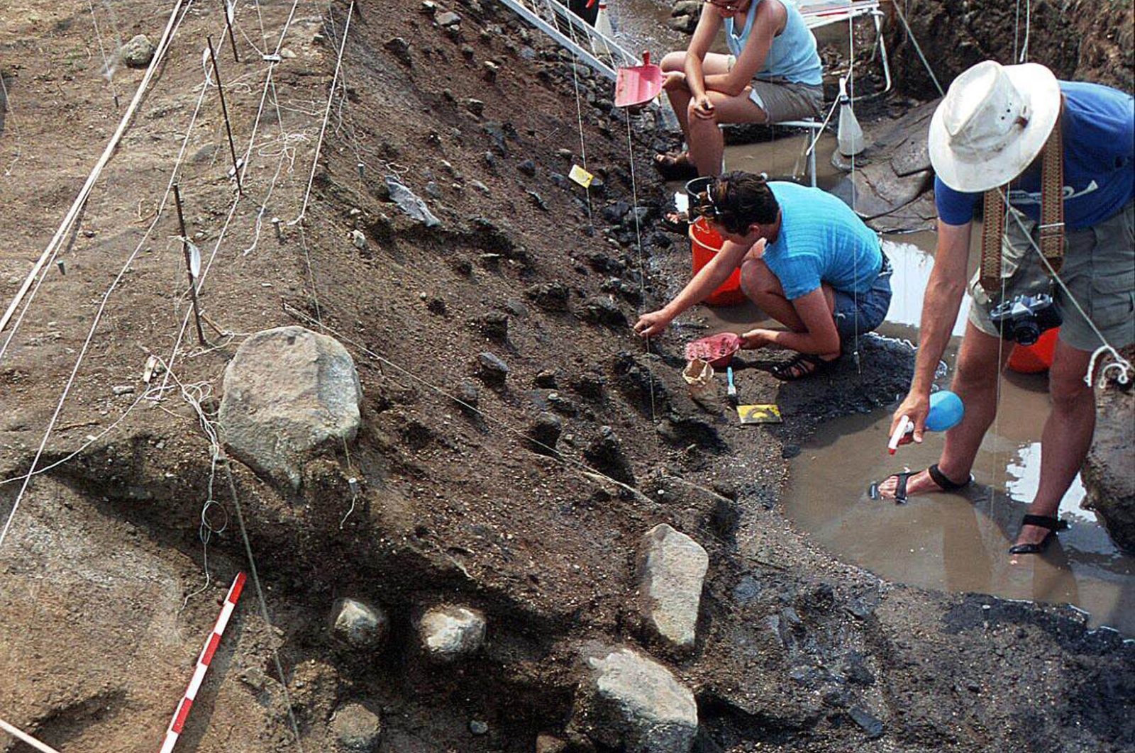 Kerja bagus: Para arkeolog menemukan ikan berumur 780.000 tahun yang dimasak dengan api