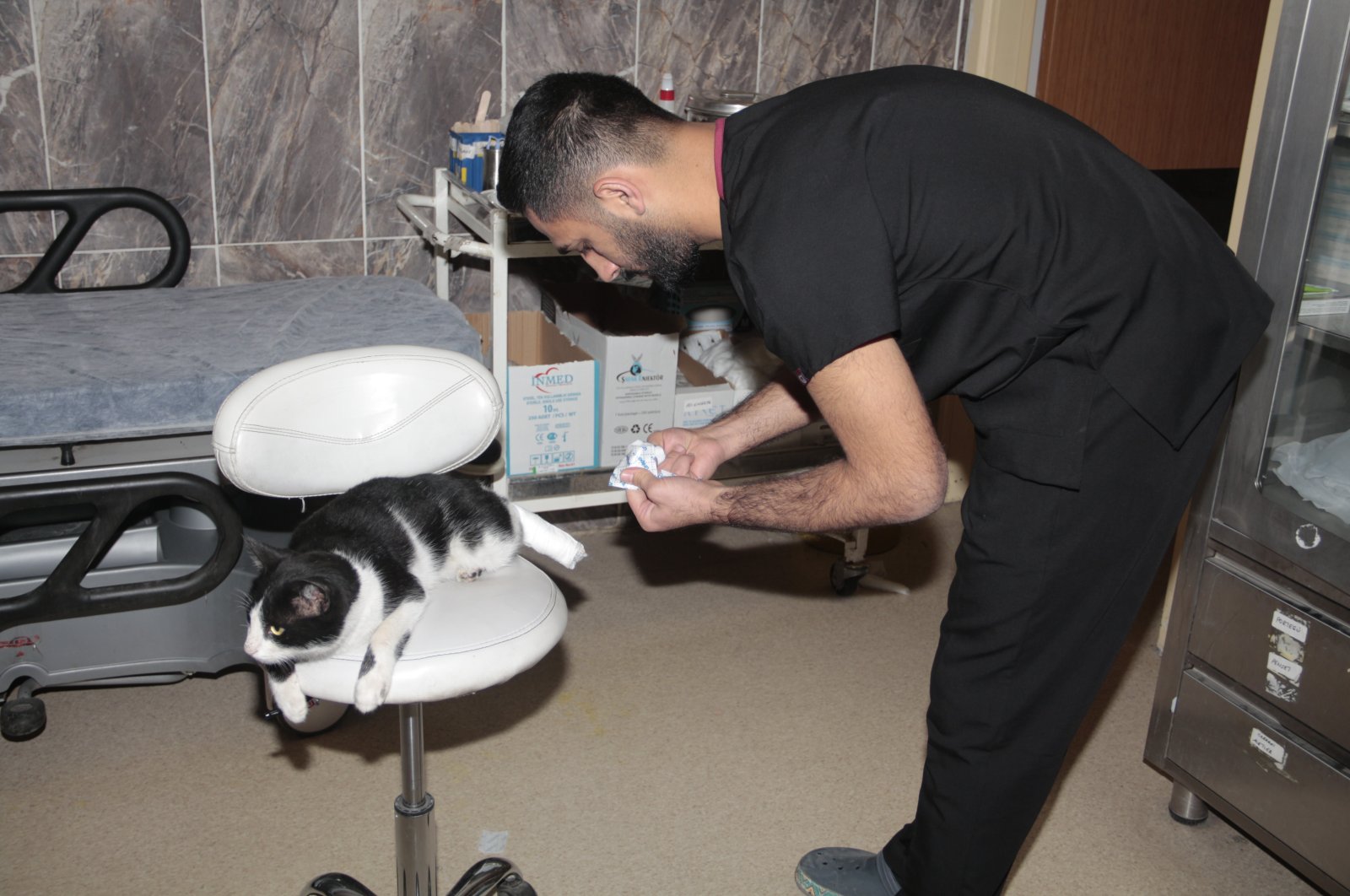 Nurse Abuzer Özdemir treats the cat, in Bitlis, eastern Türkiye, Nov. 17, 2022. (İHA Photo) 
