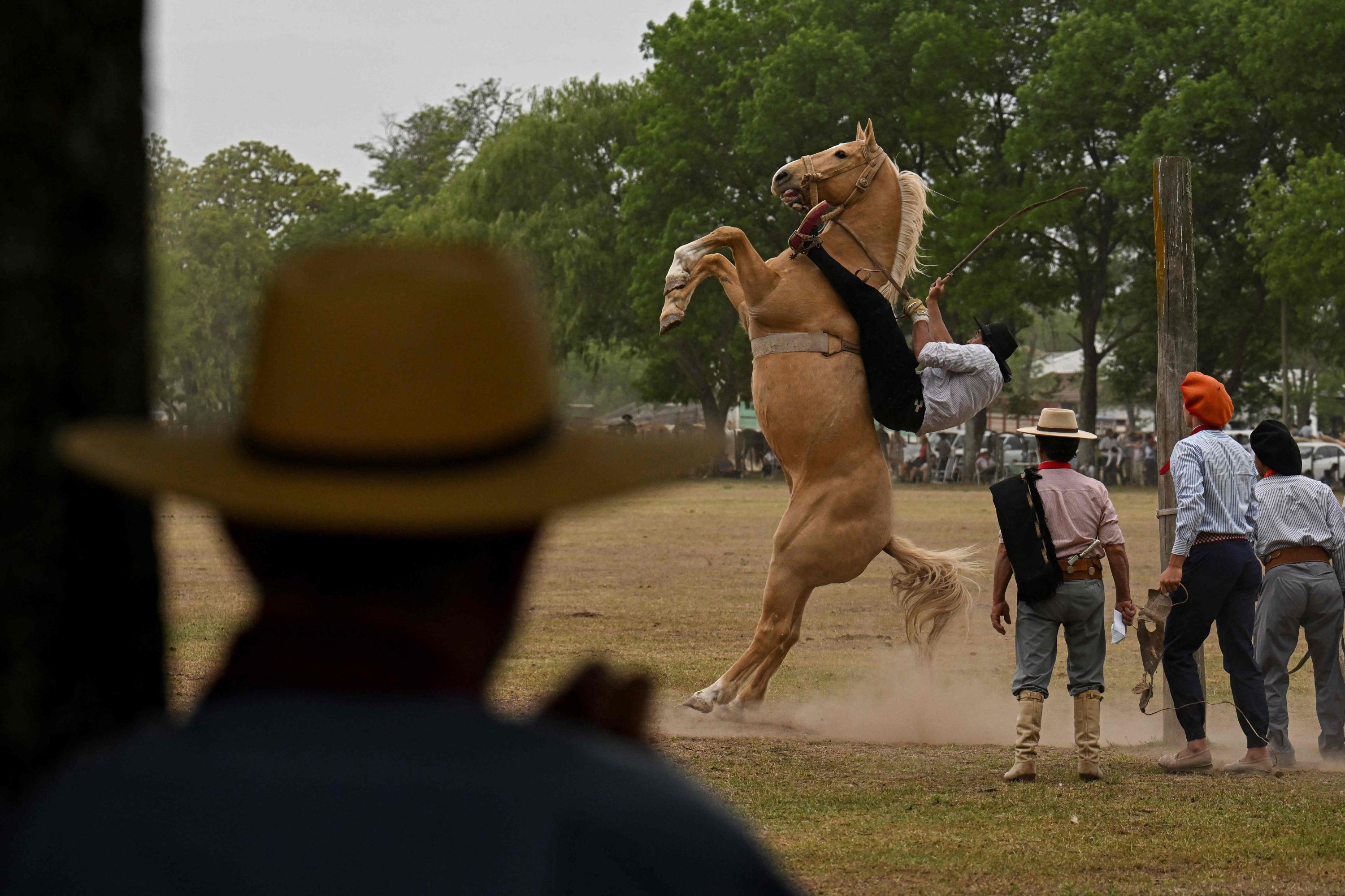 Seorang gaucho menunggang kuda di pameran rodeo selama Festival Tradisi ke-83 di San Antonio de Areco, Argentina, 12 November 2022. (Foto AFP)