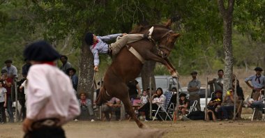 A gaucho falls from a colt at a rodeo exhibition during the 83rd Tradition Festival in San Antonio de Areco, Argentina, Nov. 12, 2022. (AFP Photo)