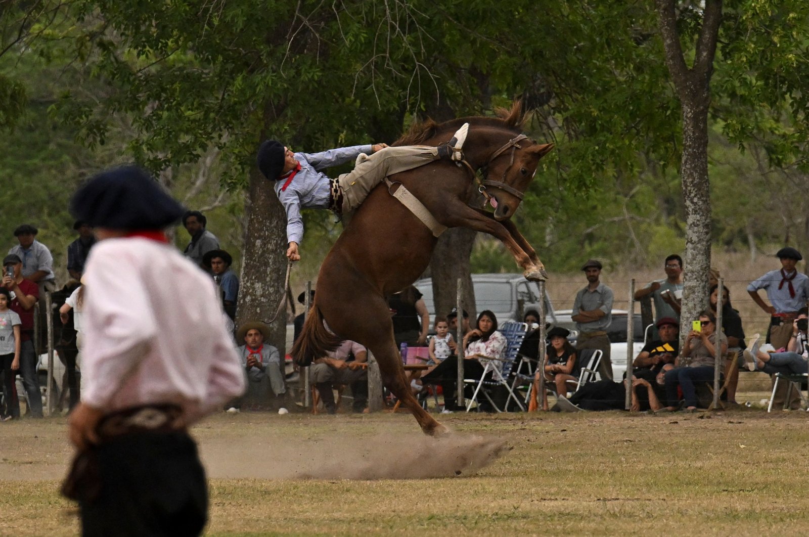A gaucho falls from a colt at a rodeo exhibition during the 83rd Tradition Festival in San Antonio de Areco, Argentina, Nov. 12, 2022. (AFP Photo)