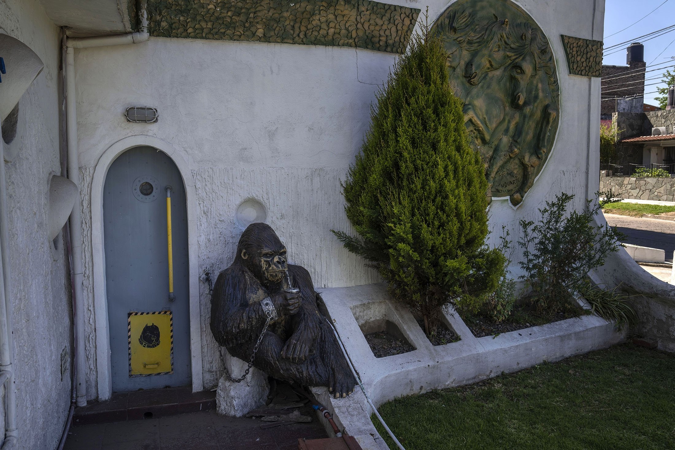 Patung semen gorila bernama Pepe dengan secangkir pasangan, dirantai ke dinding untuk mencegahnya direnggut, di San Miguel, Argentina, 1 November 2022. (Foto AP)