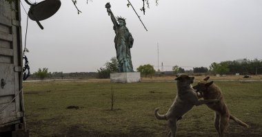 Dogs frolic near a 49-foot replica of a Statue of Liberty, in General Rodriguez, Argentina, Oct. 15, 2022. (AP Photo)