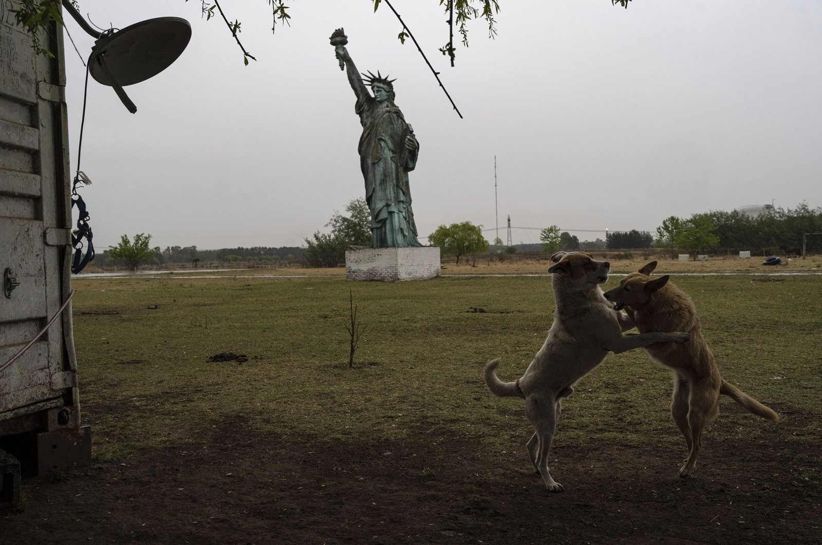 Dogs frolic near a 49-foot replica of a Statue of Liberty, in General Rodriguez, Argentina, Oct. 15, 2022. (AP Photo)