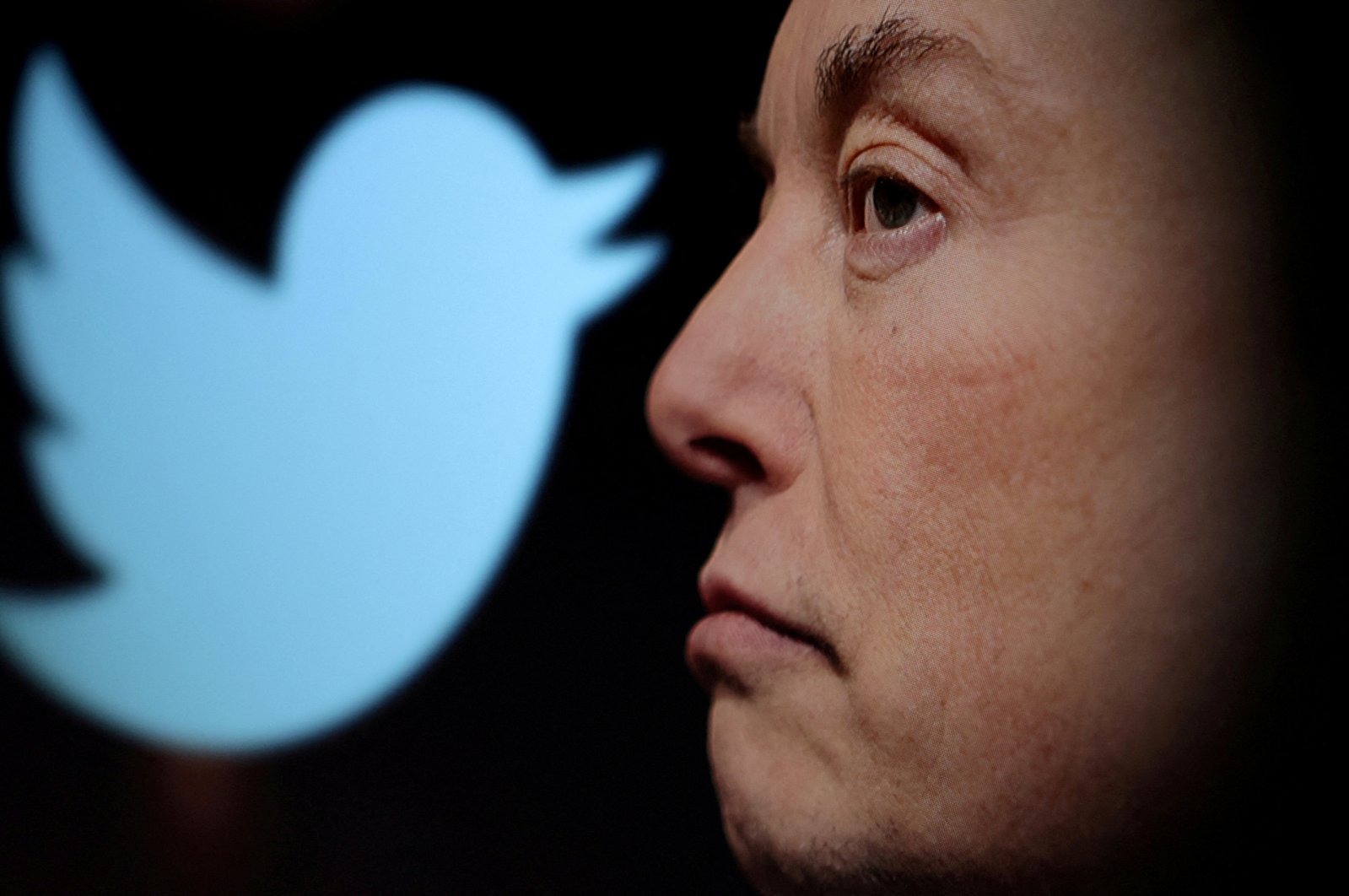 Twitter logo and a photo of Elon Musk are displayed through a magnifier in this illustration taken Oct. 27, 2022. (Reuters File Photo)