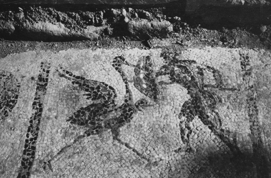 A photograph from the 90-year archive of American archaeologist Carl Blegen shows one of the mosaics found in the ancient city of Troy, Çanakkale, Türkiye, Nov. 24, 2022. (AA Photo)