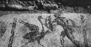 A photograph from the 90-year archive of American archaeologist Carl Blegen shows one of the mosaics found in the ancient city of Troy, Çanakkale, Türkiye, Nov. 24, 2022. (AA Photo)