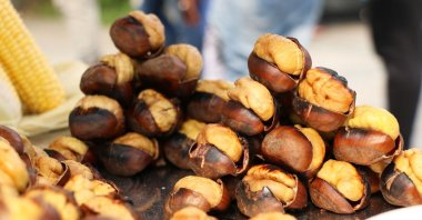 Roasted chestnuts are a staple of winter in Türkiye. (Shutterstock Photo)