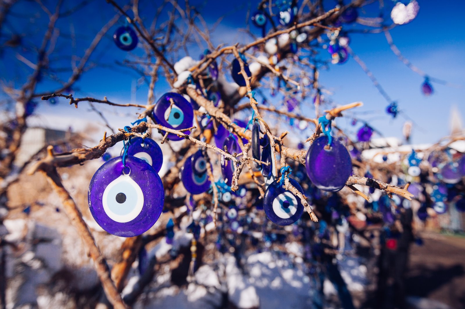 Evil eyes hang on the branches of a tree to ward off the bad spirits, Cappadocia region, Nevşehir, central Türkiye. (Shutterstock Photo)