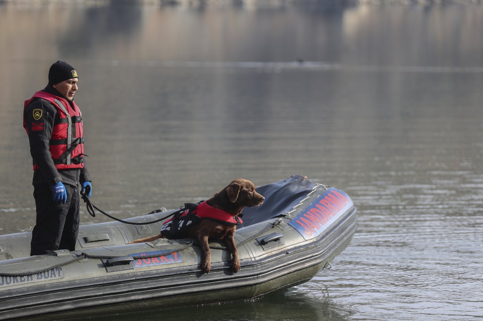 Search dog &quot;Mavi&quot; accompanies a gendarmerie officer, in the capital Ankara, Türkiye, Dec. 2, 2022. (AA Photo) 