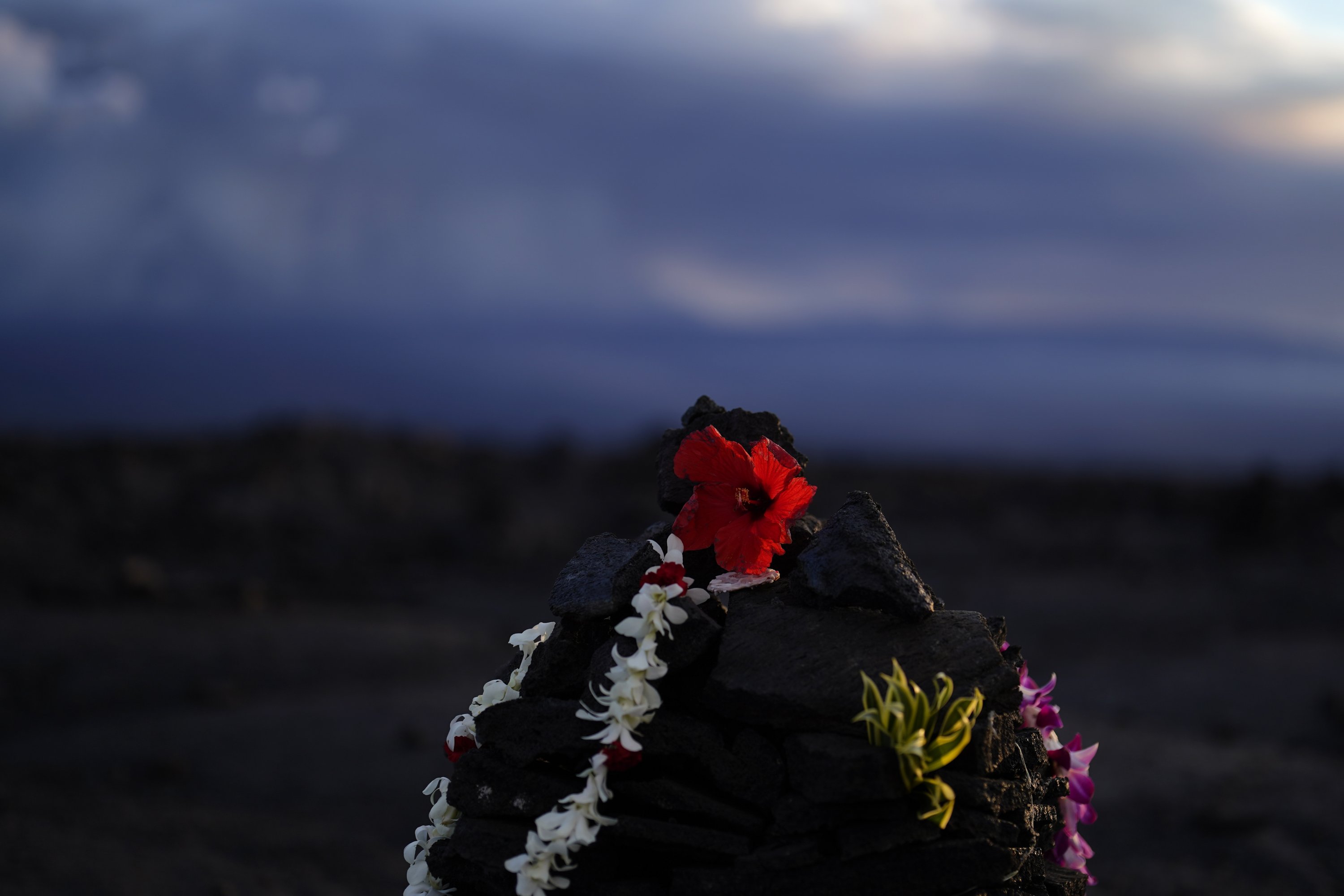 Sebuah persembahan diletakkan di antara batu lava yang menghitam dari letusan sebelumnya di dekat gunung berapi Mauna Loa saat meletus, dekat Hilo, Hawaii, AS, 30 November 2022. (Foto AP)