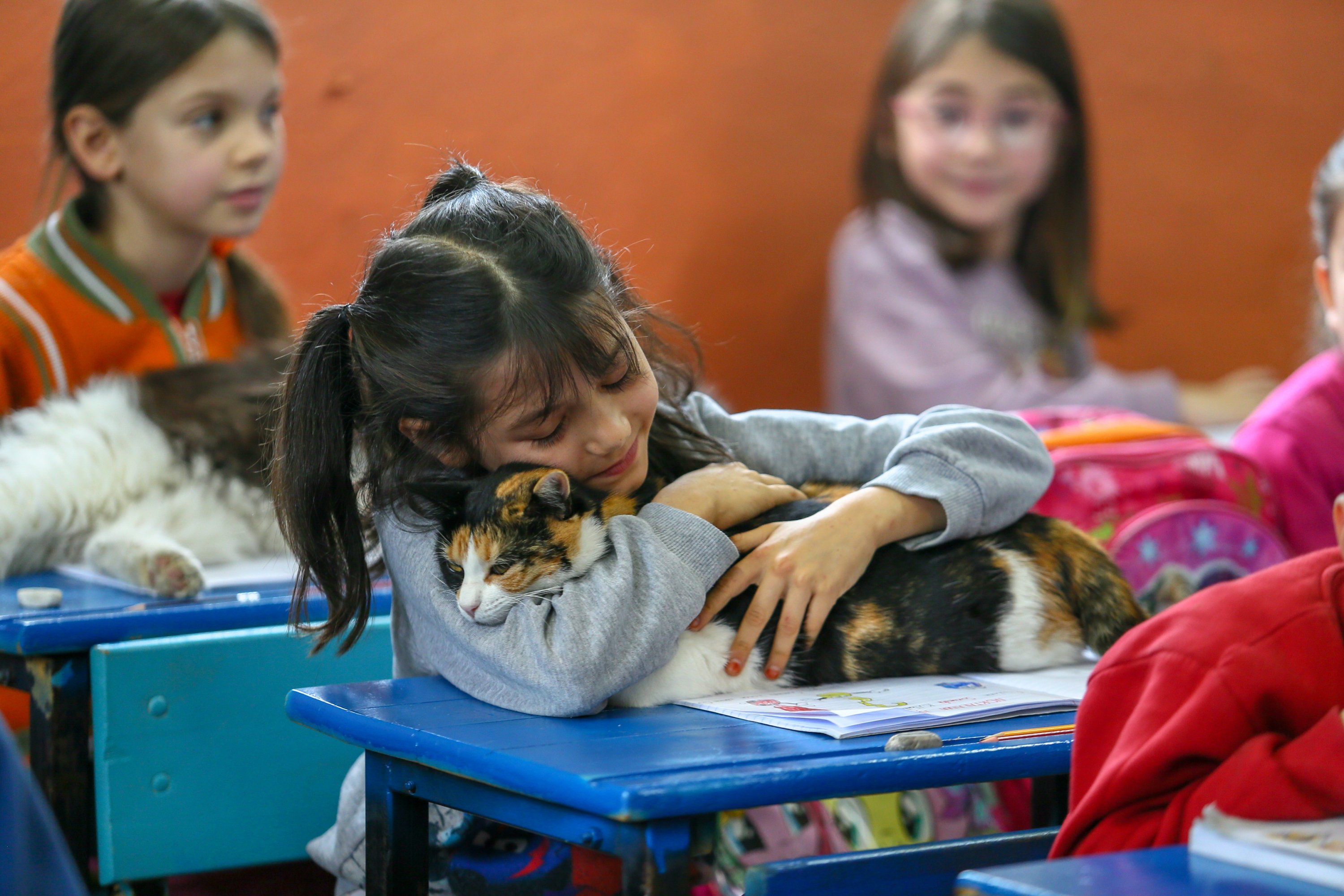 Seorang siswa memeluk kucing di dalam kelas, di Izmir, Türkiye barat, 2 Desember 2022. (Foto AA) 