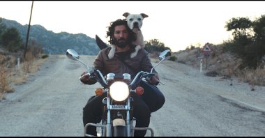 A still shot taken from &quot;Black Night&quot; by Özcan Alper.