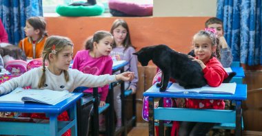 Children pet a cat inside the classroom, in Izmir, western Türkiye, Dec. 2, 2022. (AA Photo) 