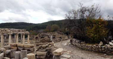 A view of the ancient cities of Lagina and Stratonikiea as yellowing leaves cover the historical ruins and stone-paved roads, Muğla, Türkiye, Dec. 2, 2022. (AA Photo)