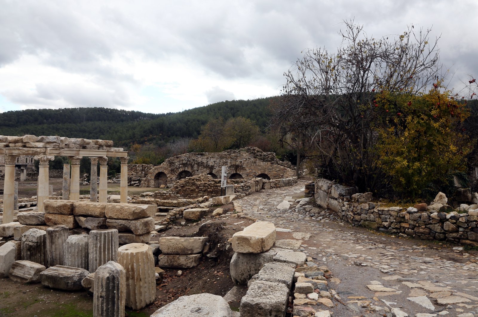 A view of the ancient cities of Lagina and Stratonikiea as yellowing leaves cover the historical ruins and stone-paved roads, Muğla, Türkiye, Dec. 2, 2022. (AA Photo)
