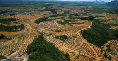 An aerial view of a cleared forest area under development for palm oil plantations is seen in the Kapuas Hulu district of Indonesia's West Kalimantan province, Indonesia, July 6, 2010. (Reuters Photo)