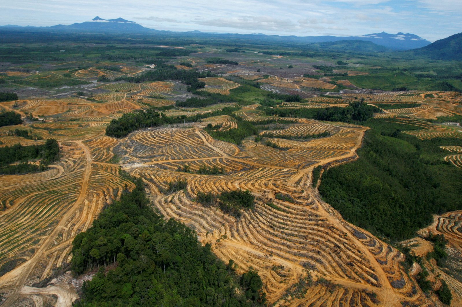 An aerial view of a cleared forest area under development for palm oil plantations is seen in the Kapuas Hulu district of Indonesia&#039;s West Kalimantan province, Indonesia, July 6, 2010. (Reuters Photo)