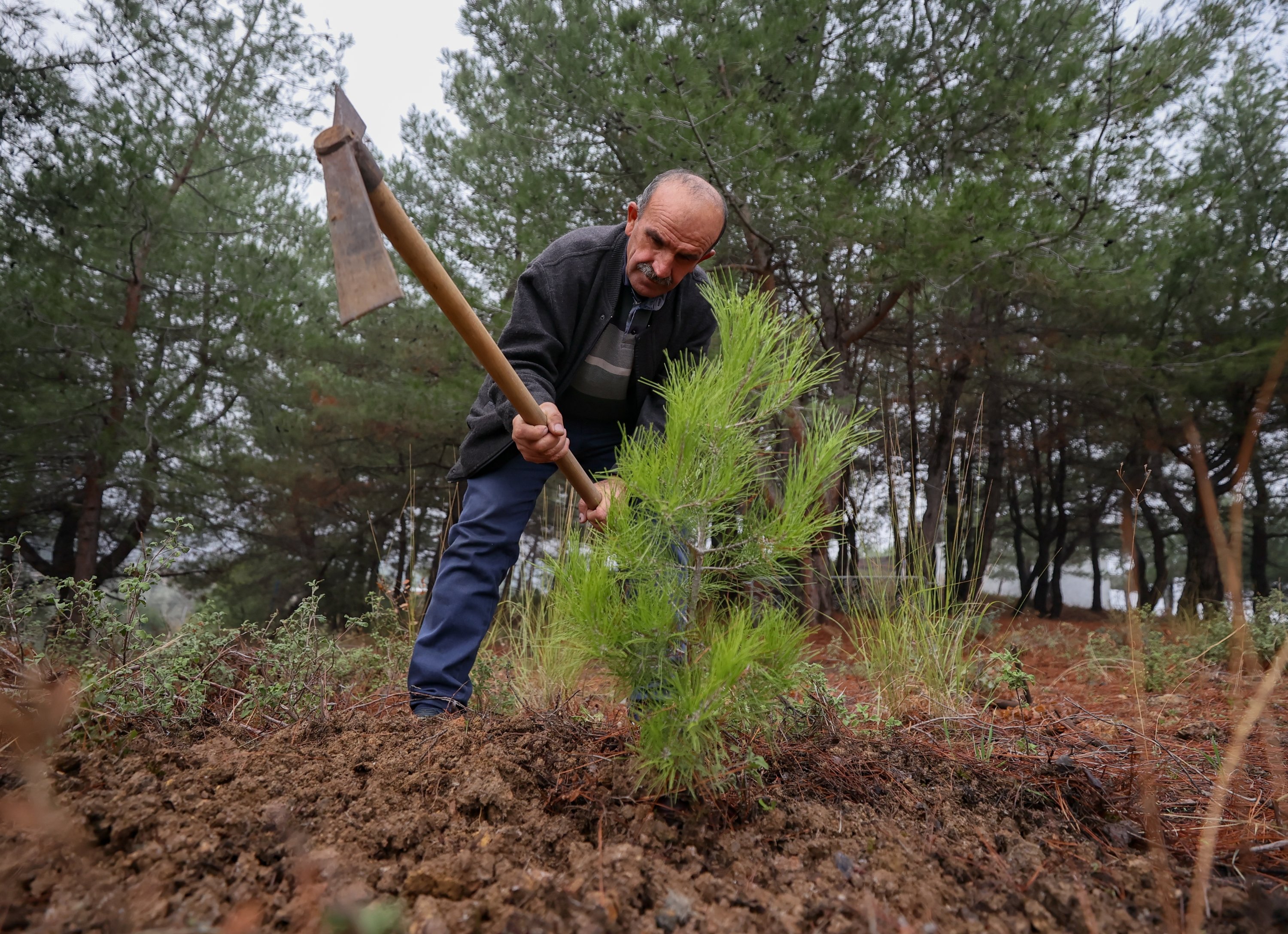 Türkiye battles land loss due to erosion, pledges to do more 