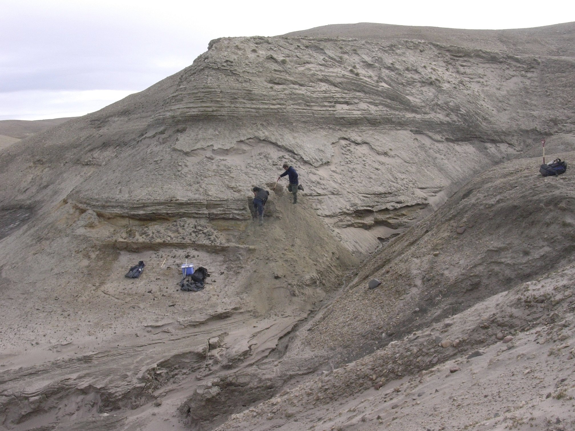 Profesor Eske Willerslev dan Kurt H. Kjaer membuka lapisan baru untuk pengambilan sampel sedimen di Kap Kobenhavn, Greenland.  (Foto AP)