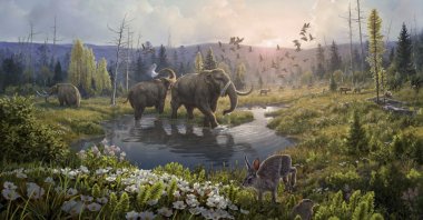 An illustration depicts Kap Kobenhavn, Greenland, 2 million years ago, when the temperature was significantly warmer than today. (AP Photo)