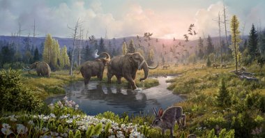 An artist&#039;s reconstruction shows the Kap Kobenhavn formation in northernmost Greenland 2 million years ago, at a time when temperatures were significantly higher than in present-day northernmost Greenland. (Reuters Photo)